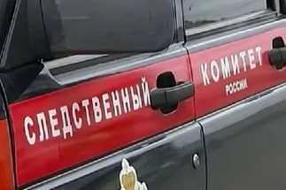 В Усть-Калманском районе возбуждено уголовное дело в отношении ветеринарного врача, подозреваемого в получении взятки в крупном размере